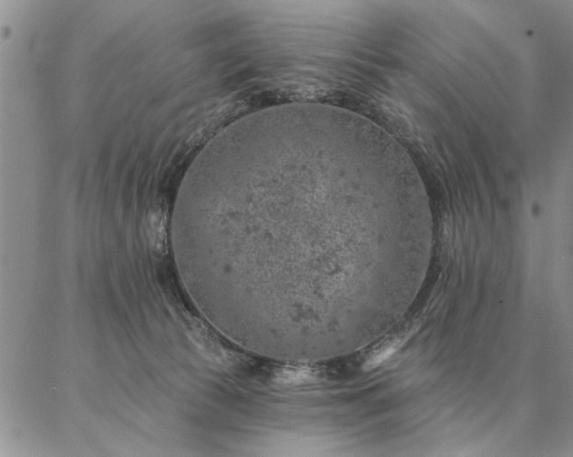 X0000087380177200704271606