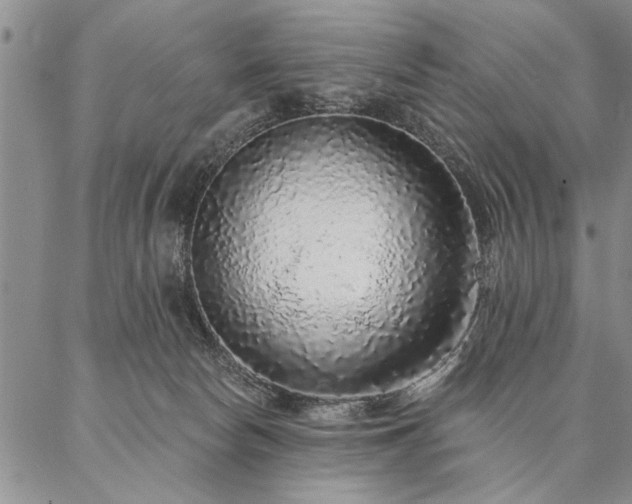 X0000087380178200704271606