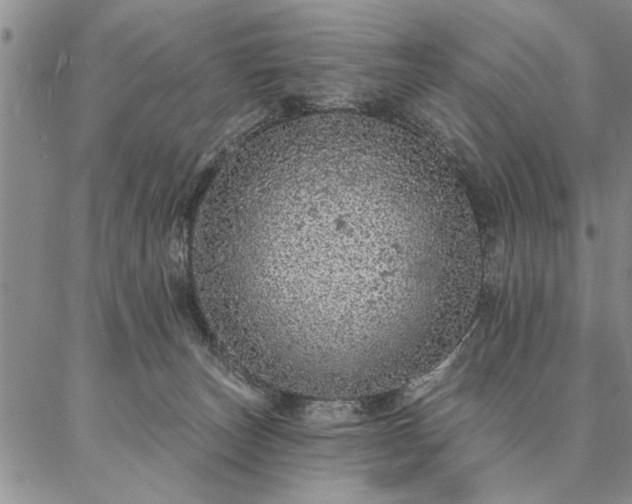 X0000087380179200704271606