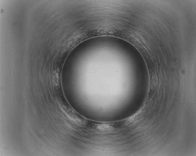 X0000087380183200704271606