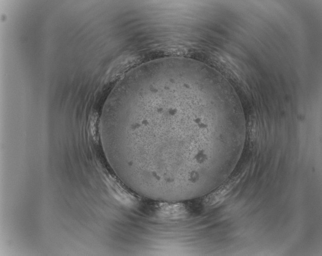 X0000087380185200704271606