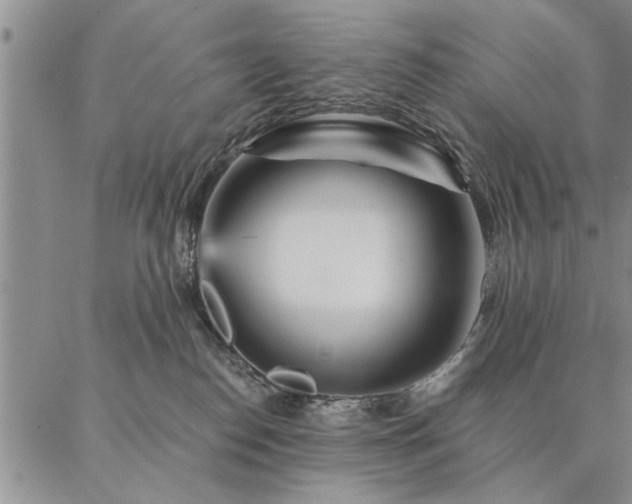 X0000087380186200704271606