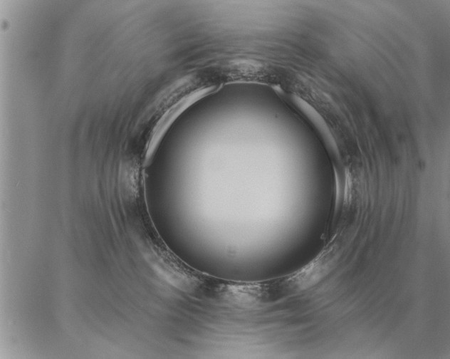 X0000087380188200704271606