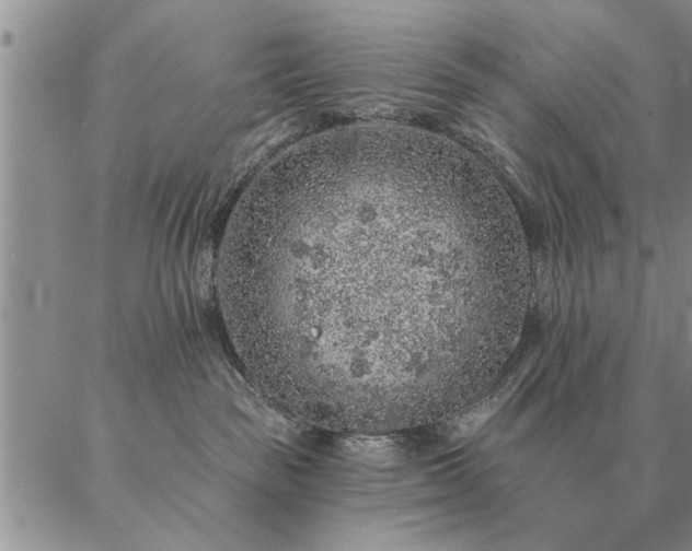 X0000087380189200704271606