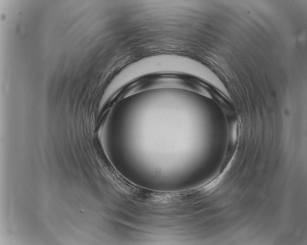 X0000087380190200704271606