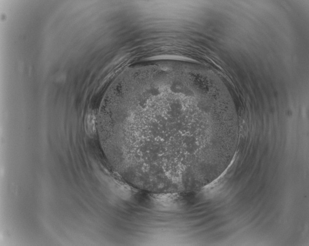 X0000087380191200704271606