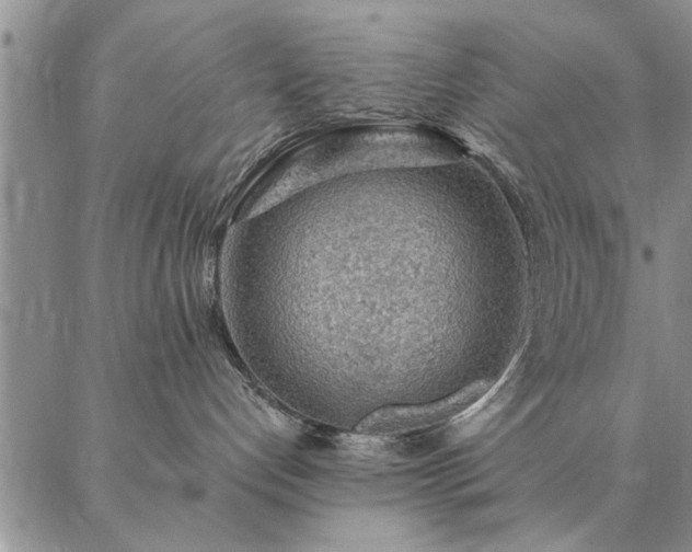 X0000087380192200704271606