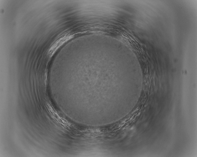 X0000087380194200704271606