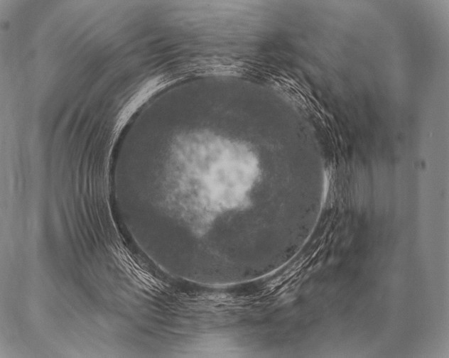 X0000087380195200704271606