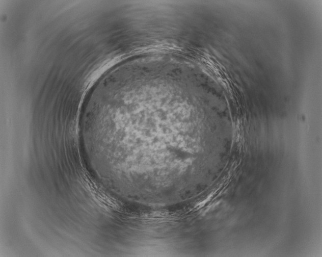 X0000087380196200704271606