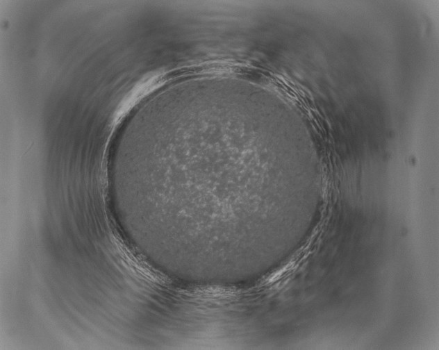 X0000087380198200704271606