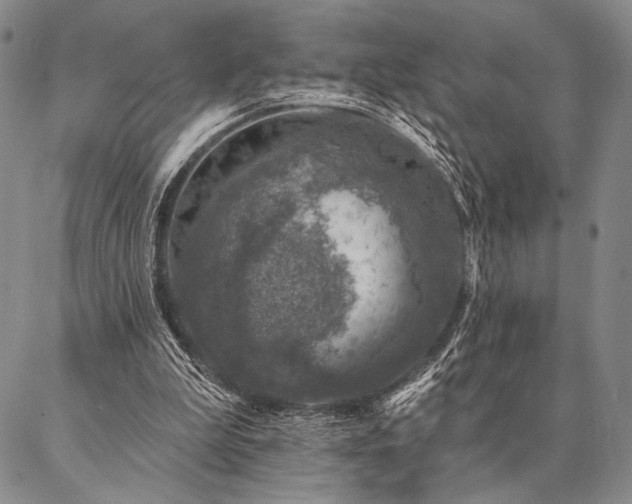 X0000087380199200704271605