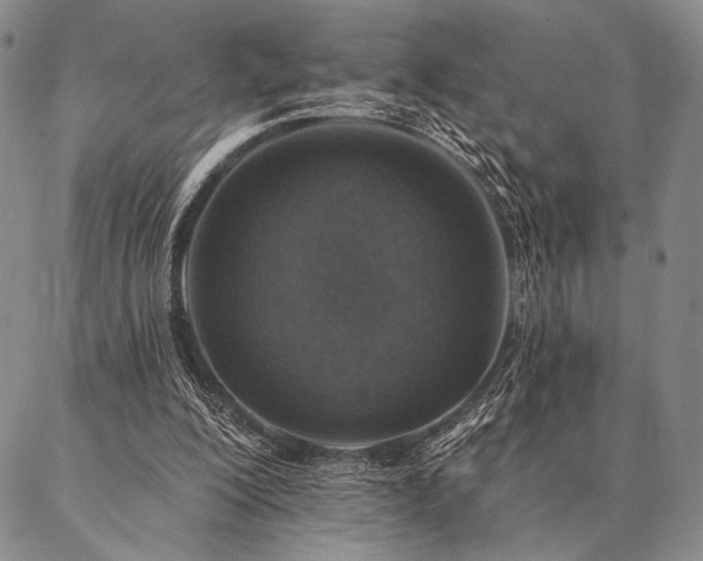 X0000087380200200704271605