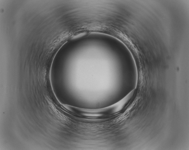 X0000087380201200704271605