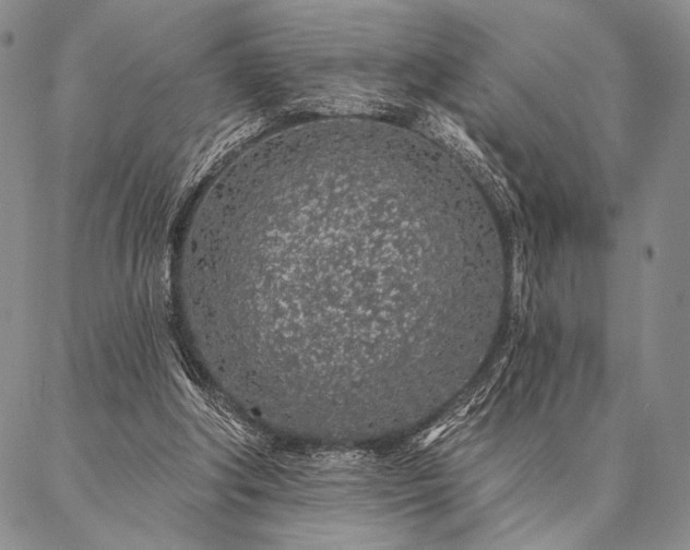 X0000087380202200704271605