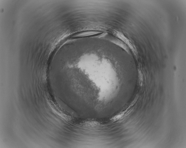 X0000087380203200704271605