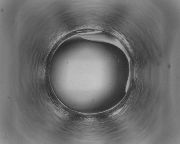 X0000087380204200704271605