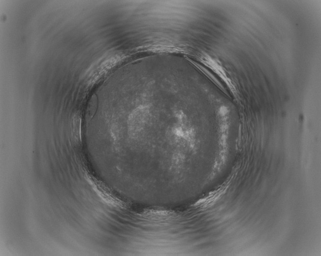 X0000087380205200704271605