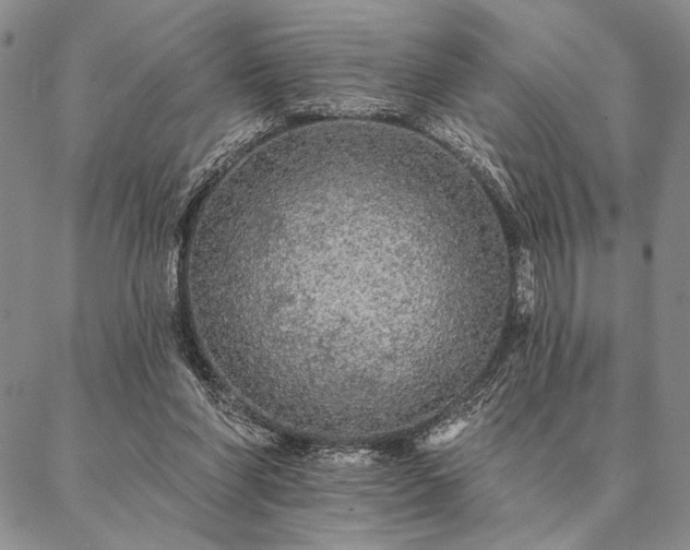 X0000087380206200704271605