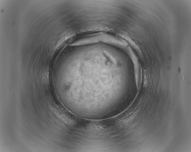 X0000087380207200704271605