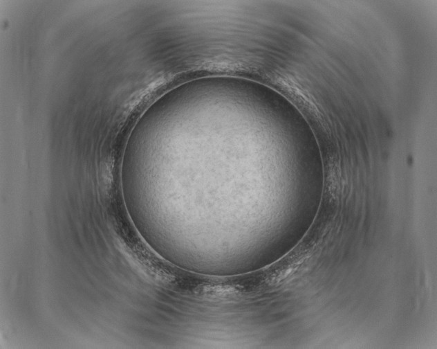 X0000087380208200704271605