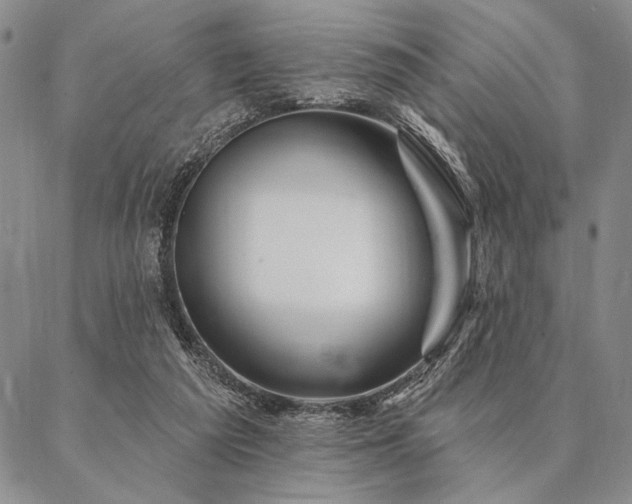 X0000087380209200704271605