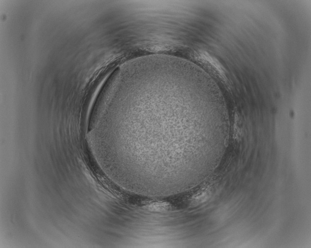 X0000087380210200704271605