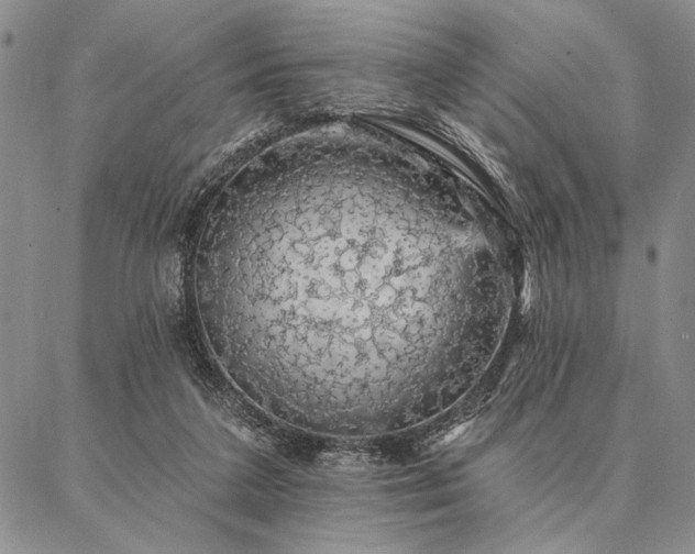 X0000087380211200704271605