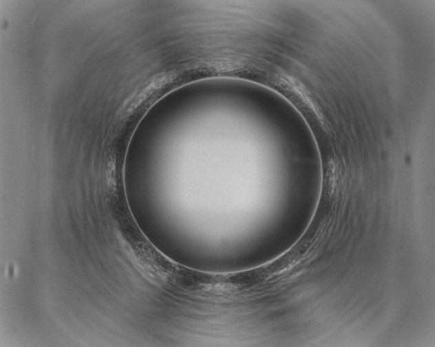 X0000087380212200704271605