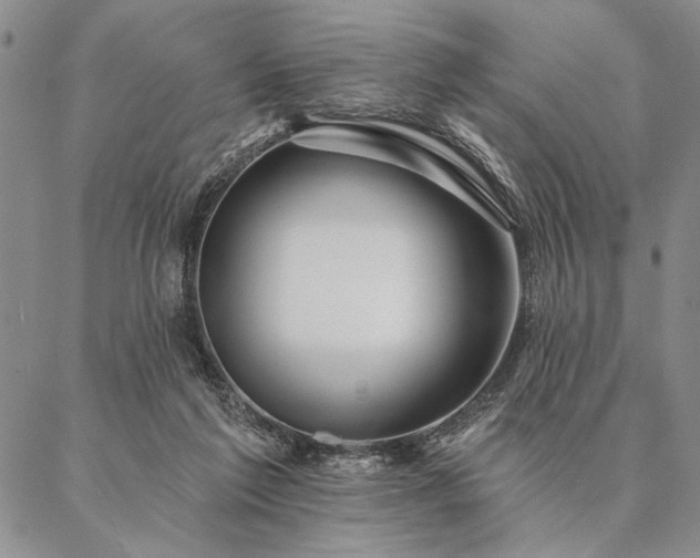 X0000087380213200704271605