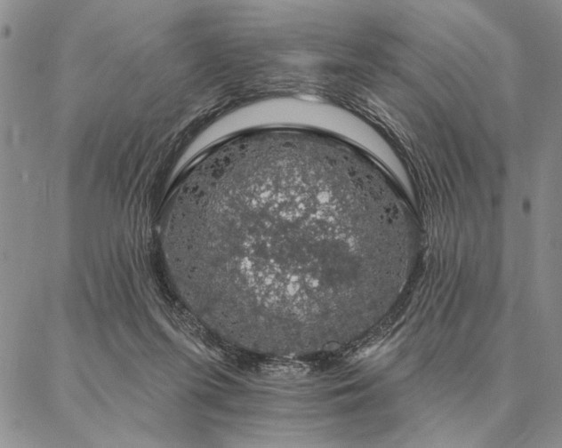 X0000087380215200704271605