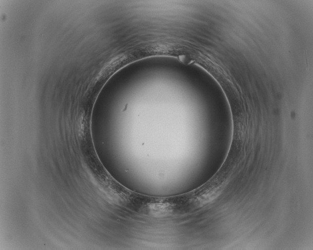 X0000087380216200704271605