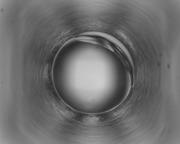 X0000087380217200704271605