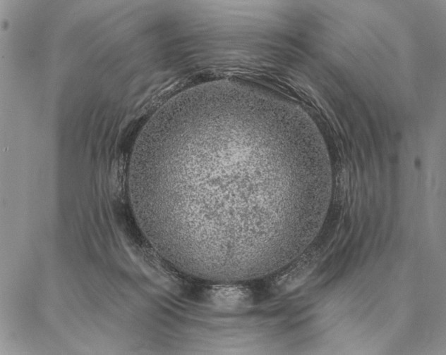 X0000087380218200704271605