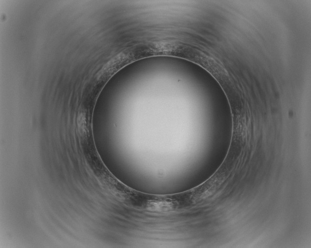 X0000087380220200704271605