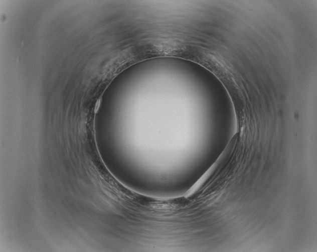 X0000087380221200704271605