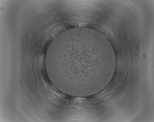 X0000087380222200704271605