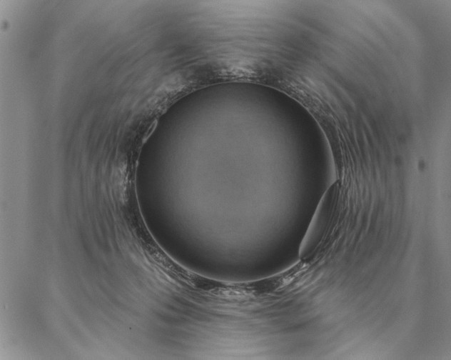 X0000087380223200704271605