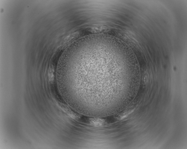 X0000087380226200704271605