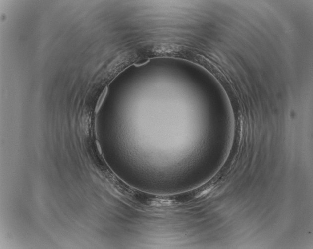 X0000087380227200704271605