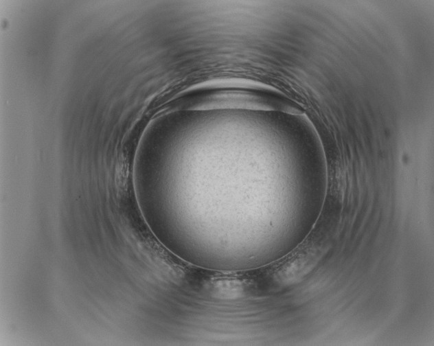 X0000087380228200704271605