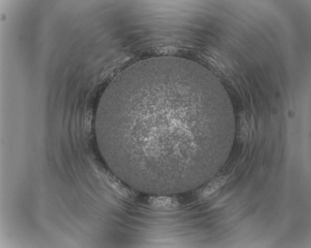 X0000087380230200704271605