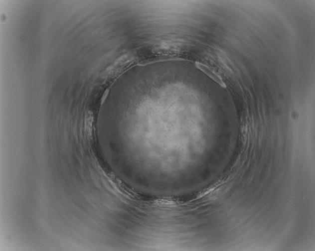 X0000087380231200704271605