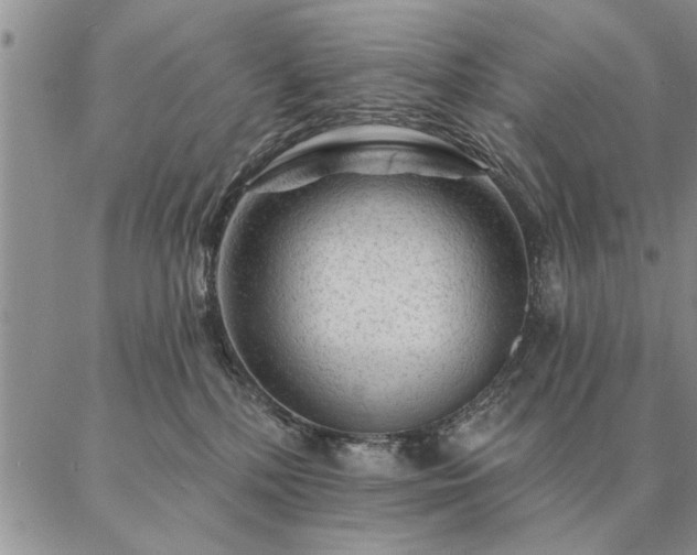 X0000087380232200704271605