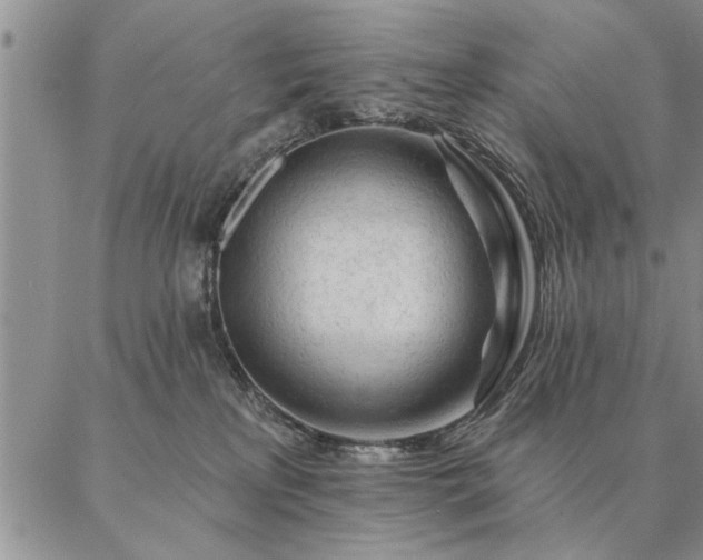 X0000087380233200704271605