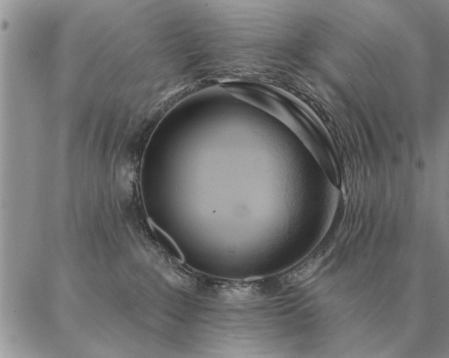 X0000087380235200704271605