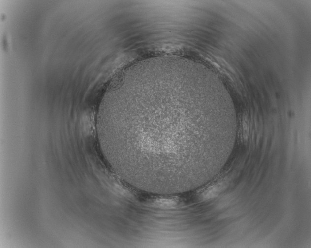 X0000087380236200704271605