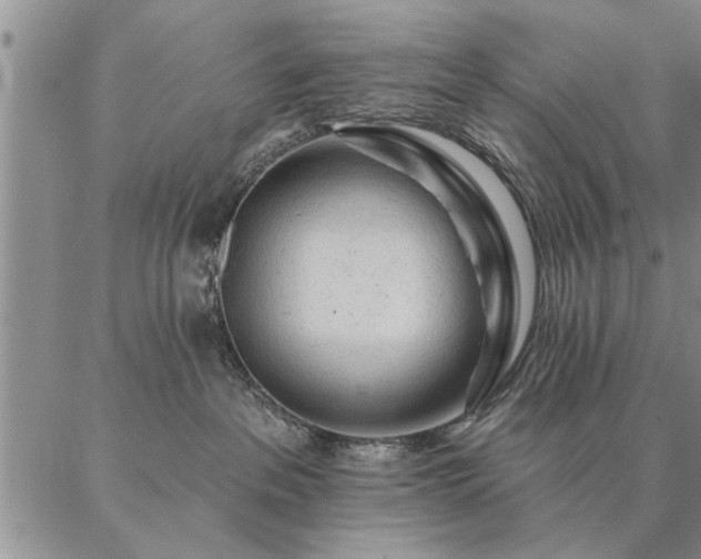 X0000087380237200704271605