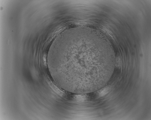 X0000087380238200704271605