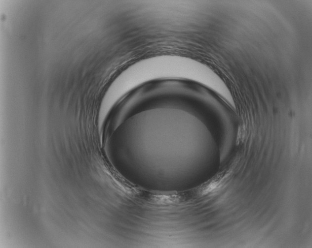 X0000087380239200704271605